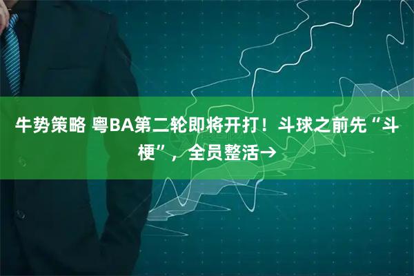 牛势策略 粤BA第二轮即将开打!斗球之前先“斗梗”,全员整活→
