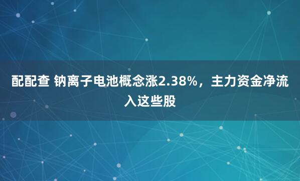 配配查 钠离子电池概念涨2.38%，主力资金净流入这些股