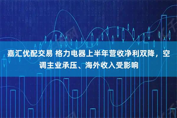 嘉汇优配交易 格力电器上半年营收净利双降，空调主业承压、海外收入受影响